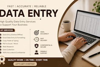 do professional data entry, data cleaning, data processing