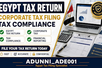file egypt tax return corporate tax and tax compliance accurately