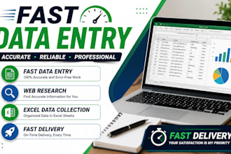 do fast data entry, web research and excel data collection