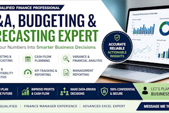 provide fpa, budgeting, forecasting, and financial analysis services