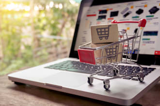 build a professional woocommerce store