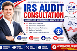 provide irs audit consultation, document prep, questionnaires, business tax help
