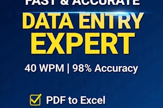 do fast accurate excel data entry, PDF to excel fastest and carefully