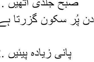write SEO urdu blog posts and articles