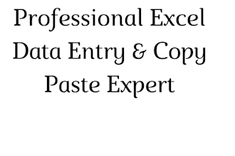 do expert data entry, excel data entry, and copy paste work