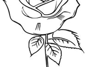 design unique black and grey tattoo