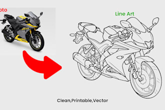 draw clean vector line art illustration from any photo