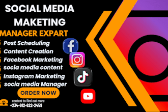 provide structured results driven social media management and content