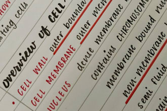 provide neat and professional handwriting services