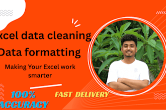 clean, format and organize your excel data professionally