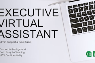 be your virtual assistant for administrative support and excel tasks