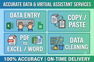do excel data entry, copy and paste, PDF to docx, and data cleaning