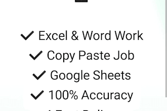 do professional data entry typing work and excel data entry