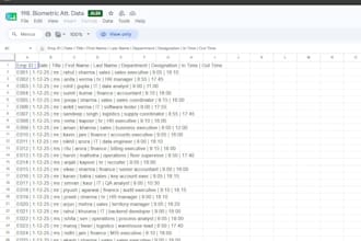 do data entry and clean up your excel spreadsheets accurately