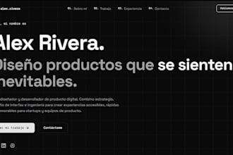 develop a professional web application