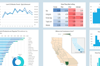 build a professional excel dashboard with pivot tables and charts