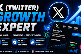grow your twitter account in organic way
