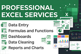 do advanced excel works