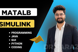 do matlab simulink and matlab programming , matlab task