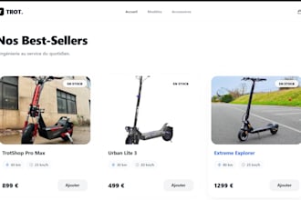 developpement de solutions numeriques personnalisees