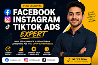 be your facebook instagram tiktok ads expert