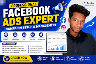 setup, optimize and manage facebook ads campaigns for high conversions