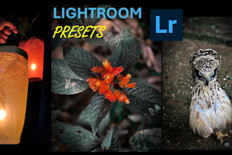design a unique lightroom presets to match your photo style