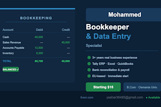 do bookkeeping, bank reconciliation and accounting tasks