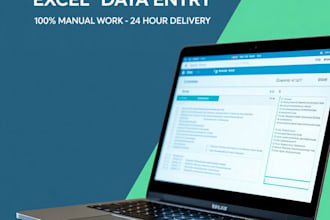 do fast and accurate excel data entry in 24 hours