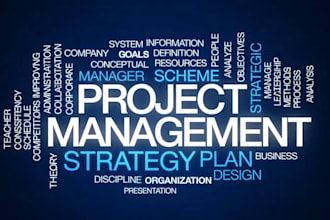 project management and engineering support