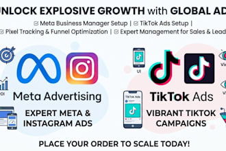 set up and manage meta ads and tiktok advertising campaigns