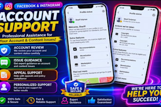 facebook and instagram account support consultation