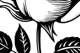 draw professional tattoo illustration for tattoo artists