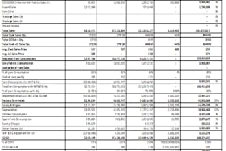 do financial data entry bookkeeping and mis reporting in excel