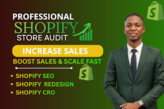 audit shopify store, store audit for shopify store, cro audit add shopify theme