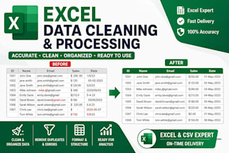 clean, format and organize excel spreadsheets professionally