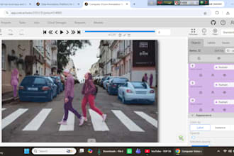 do professional image annotation and data labeling