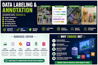 do accurate data labeling, data annotation