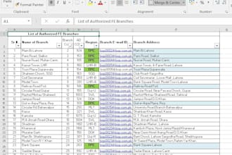 accurate data entry and excel tasks