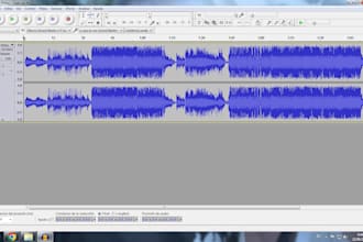 dj on a musical radio online, with experience than 2011