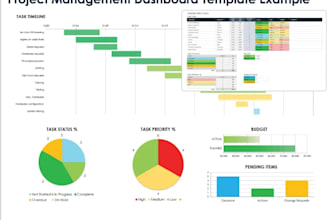 create professional dashboards, mis reports