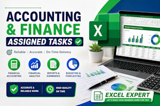 do accounting and finance assigned tasks, financial accounting in excel