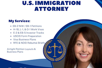 provide US immigration documents preparation and visa business plan