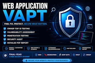 perform website security testing and vulnerability assessment