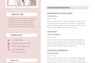 write professional resume, executive resume professional CV rewrite