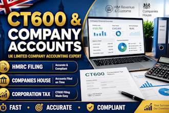 handle UK limited company accounts and ct600 corporation tax filing