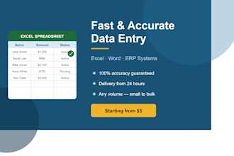 do fast and accurate excel, word and erp data entry