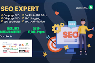 do monthly on page off page SEO and content writing for your website
