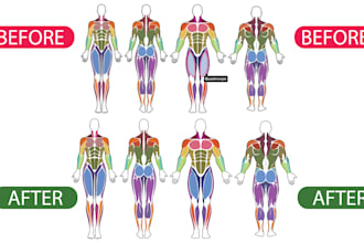 design professional anatomy and muscle infographic
