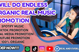 create and run SEO advertising for your spotify music